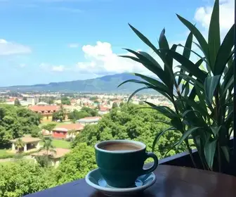 Cafés em Penha para incluir no roteiro: o que saber antes de ir