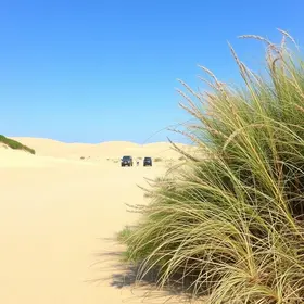 Roteiro de ecoturismo no Parque das Dunas: atrações e dicas úteis