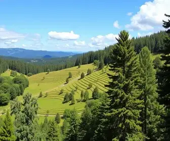 O que fazer em Campos do Jordão para casal: guia prático para turistas